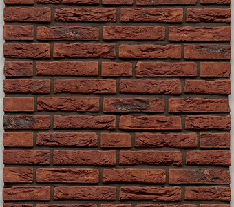 Muhr WF 12 Amsterdam